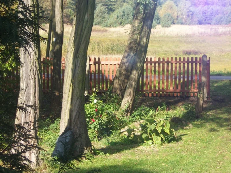 Zdjęcie z galerii