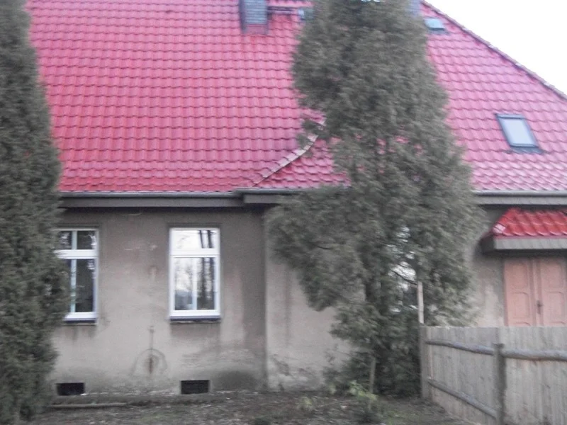 Zdjęcie z galerii