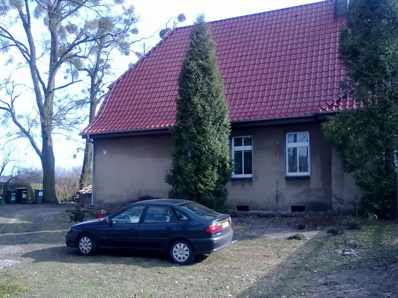 Zdjęcie z galerii
