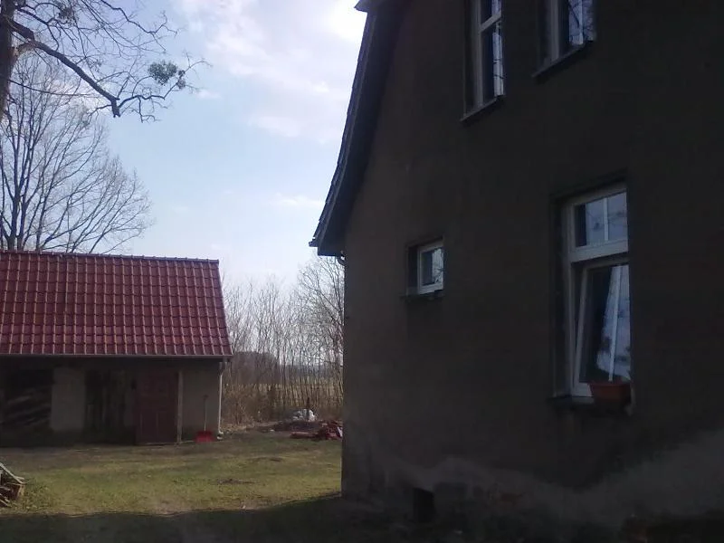 Zdjęcie z galerii