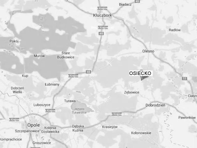Zdjęcie z galerii